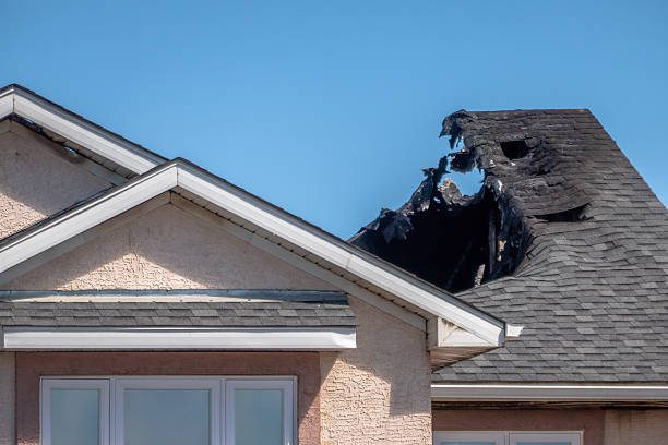 Top rated local Fire Damage Removal specialists in Richwood, OH